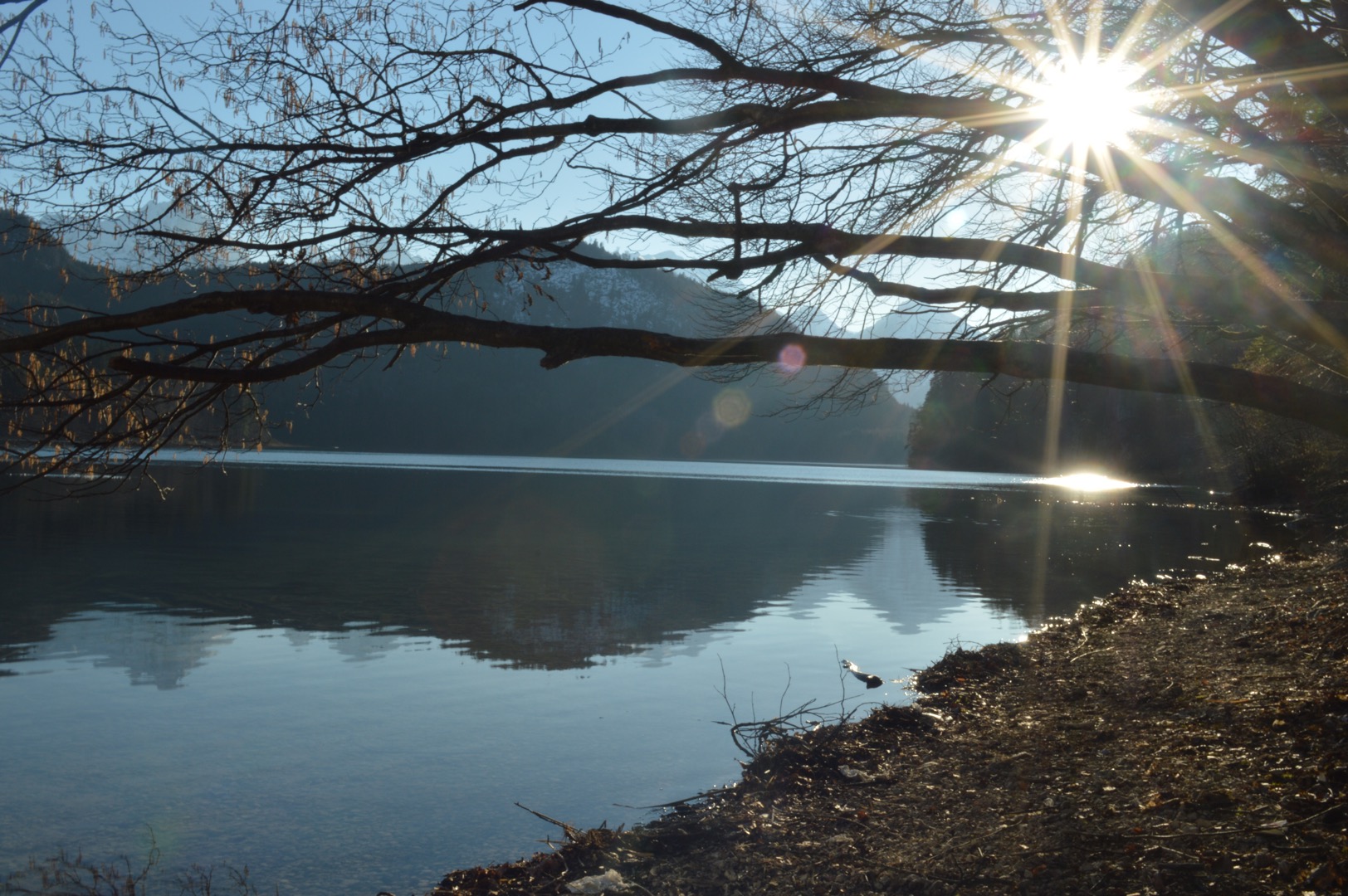 Abendsonne über dem Alpsee