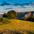 Abendsonne über dem Kirnitzschtal