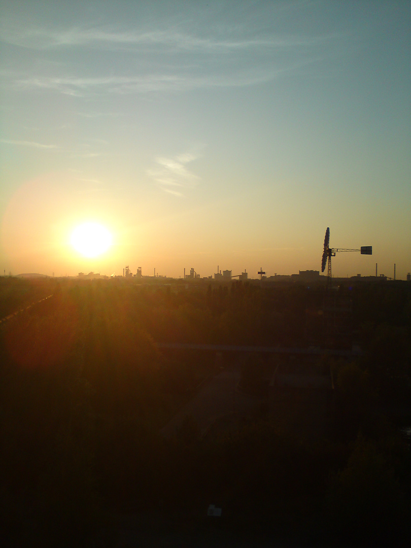 Abendsonne über dem Landschaftspark