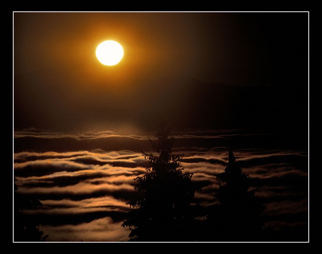 Abendsonne über dem Nebelmeer