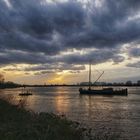 Abendsonne über dem Rhein