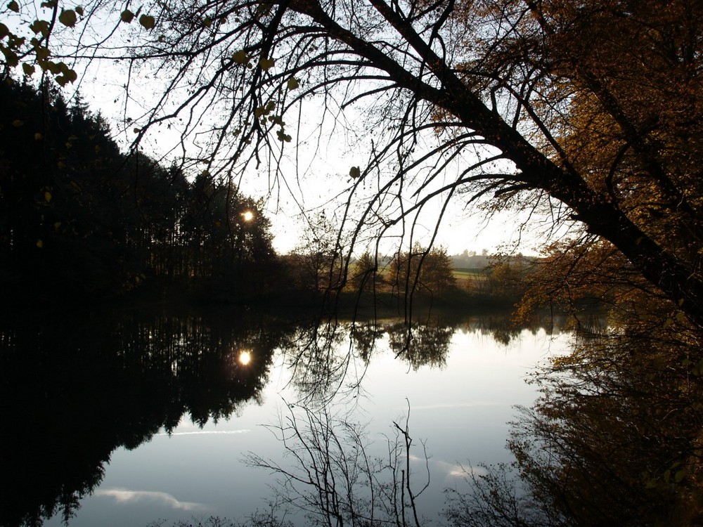 Abendsonne über dem Ropbachsee