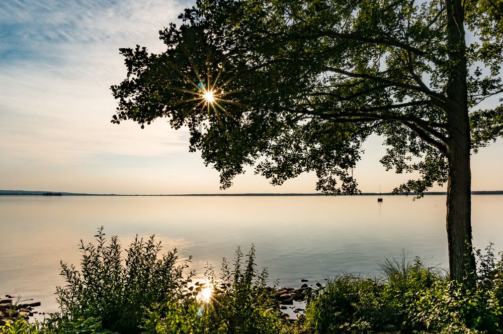 Abendsonne über dem Steinhuder Meer - Niedersachsen