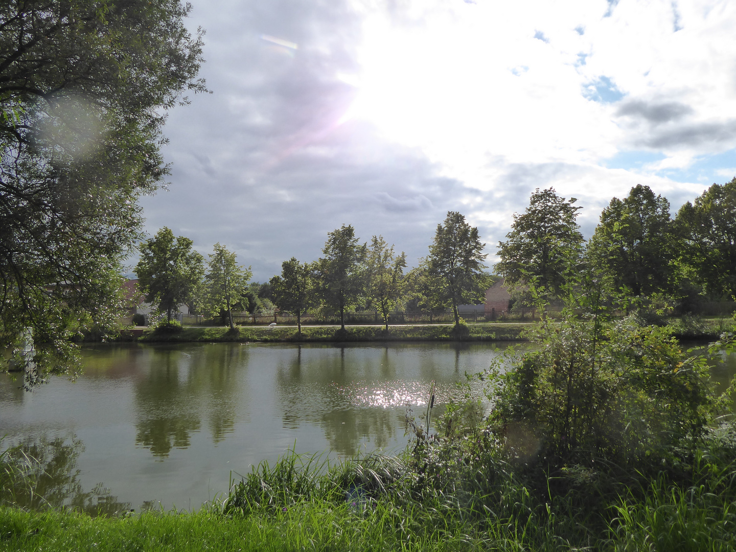 Abendsonne über dem Teich