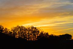 Abendsonne über dem Wald