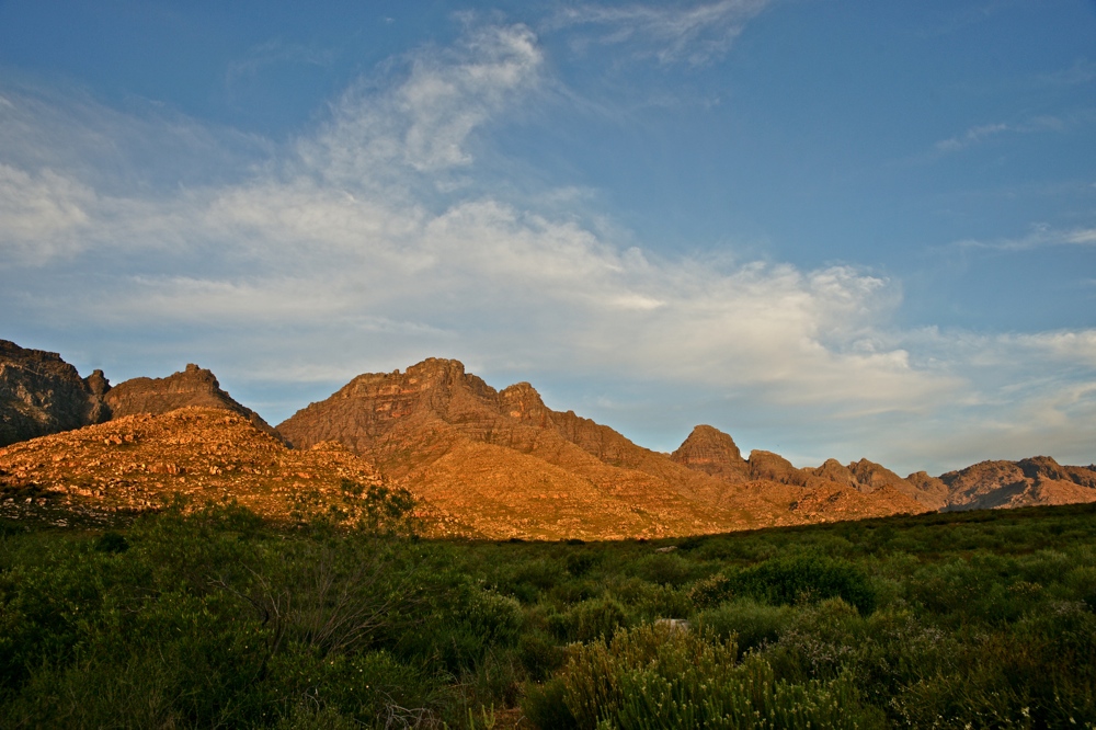 Abendsonne über den Cederberg Mountains (2)