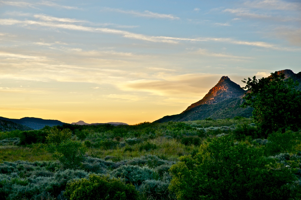 Abendsonne über den Cederberg Mountains (4)