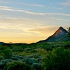 Abendsonne über den Cederberg Mountains (4)