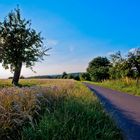 Abendsonne über den Feldern im Spessart