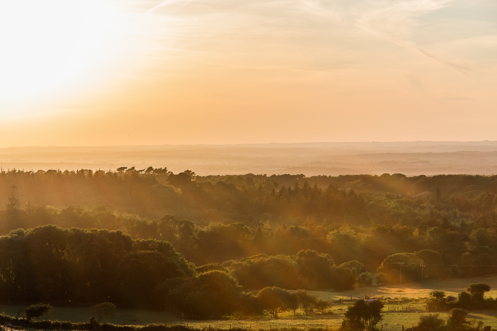 Abendsonne über den Hügeln von Dorset