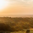 Abendsonne über den Hügeln von Dorset