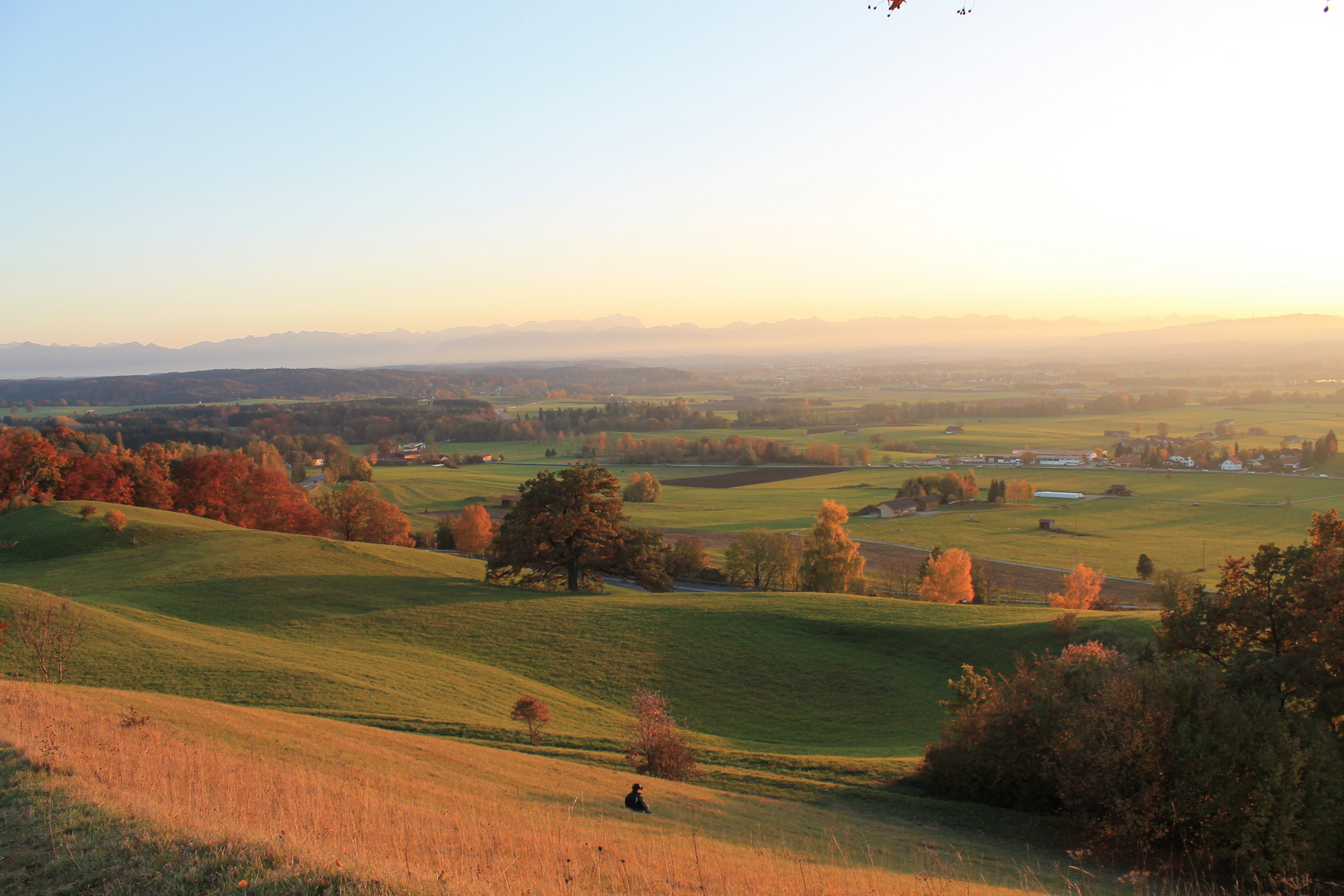 Abendsonne über den Voralpenland