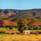 Abendsonne über der Karoo