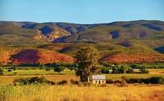 Abendsonne über der Karoo