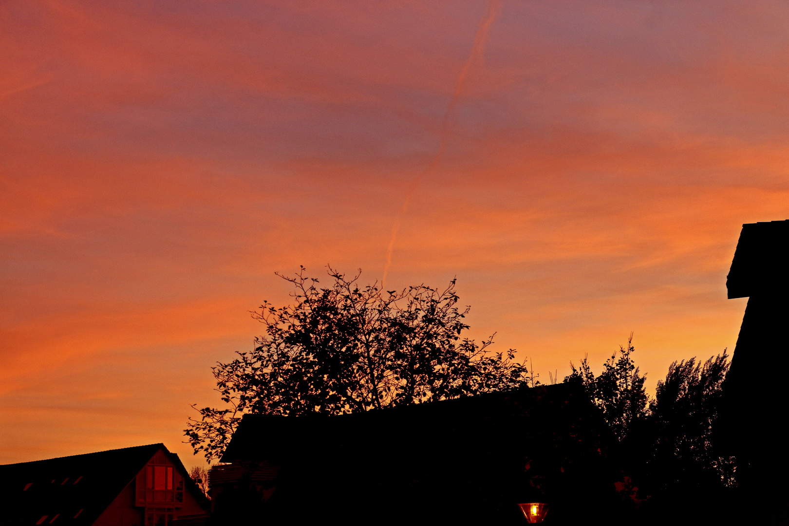 Abendsonne über Dresden-Weißig