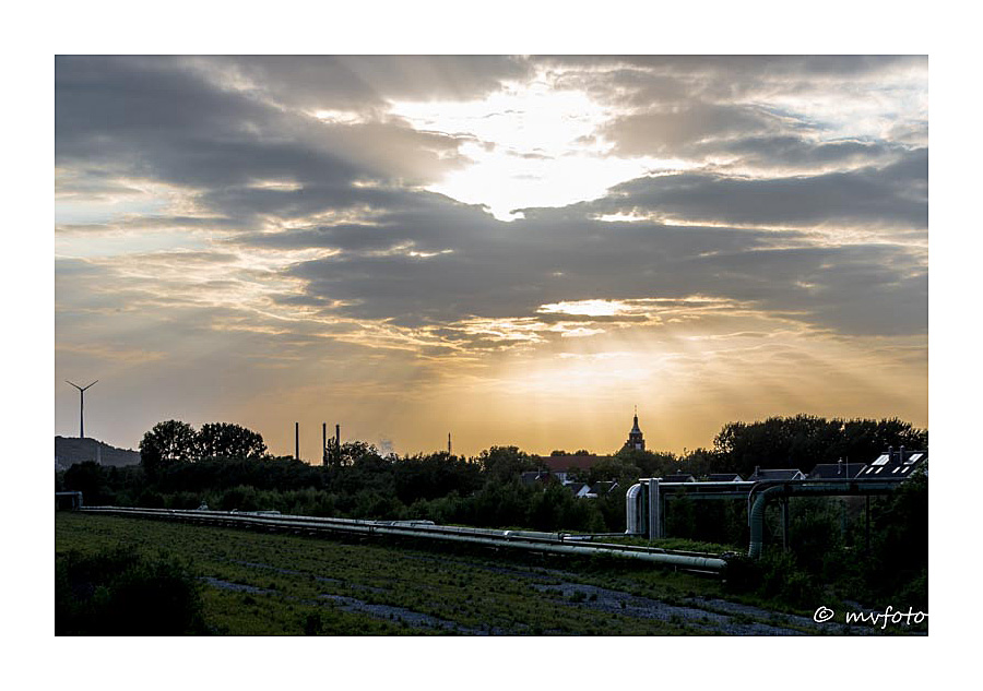 Abendsonne über Hassel