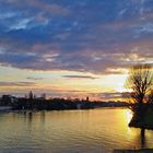 Abendsonne über Heidelberg