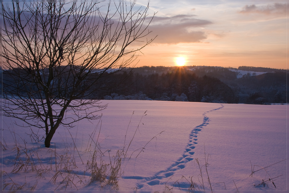 Abendsonne über Johannesberg