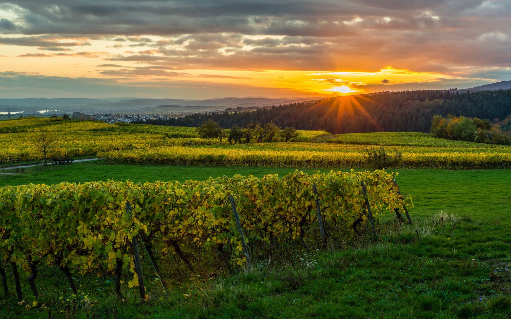 Abendsonne über Kiedrich