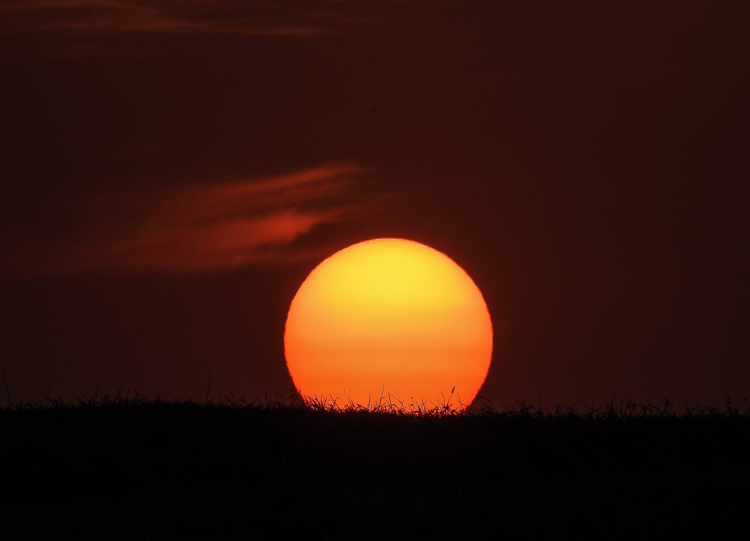 Abendsonne überm Feld