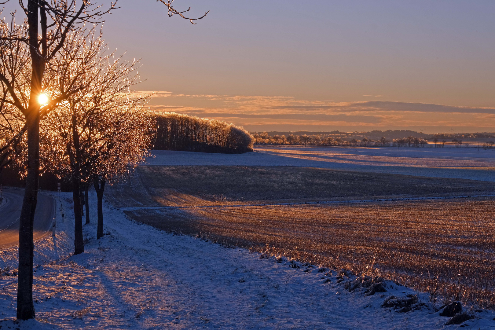 Abendsonne und Eis in den Bäumen, Eifel