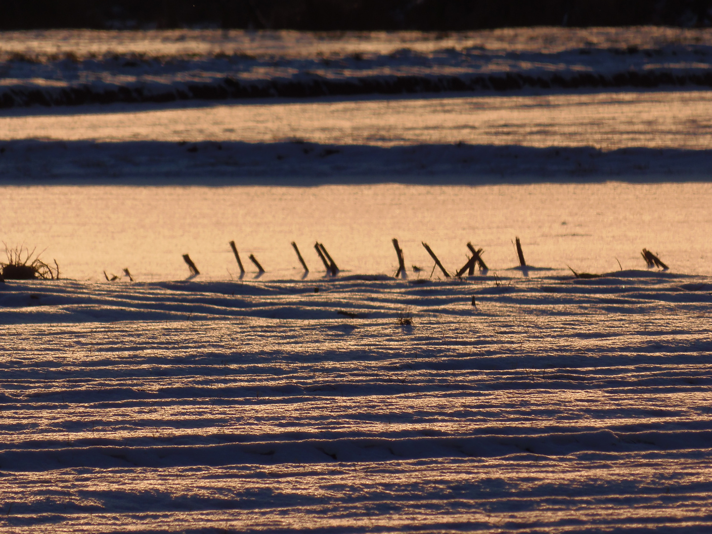 Abendsonne und Schnee