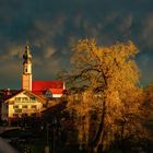 Abendsonne vor dem Regen