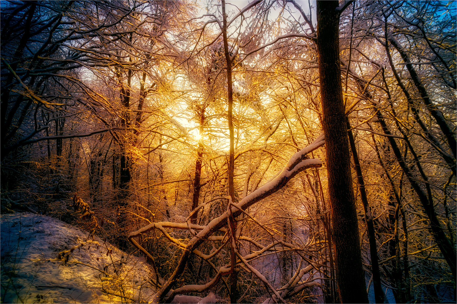 Abendsonne wärmt