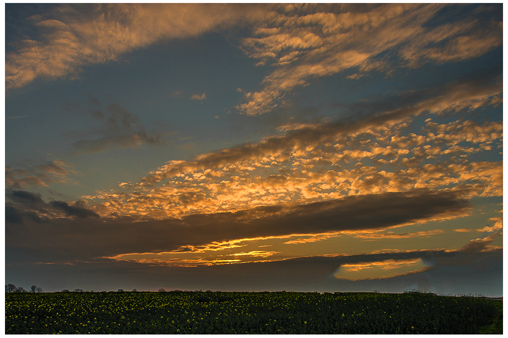 Abendsonne, Wolken, Rapsfeld