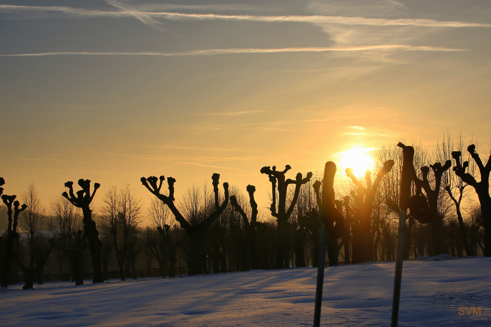 Abendsonne zwischen zwei Nordic Walking Stöcken