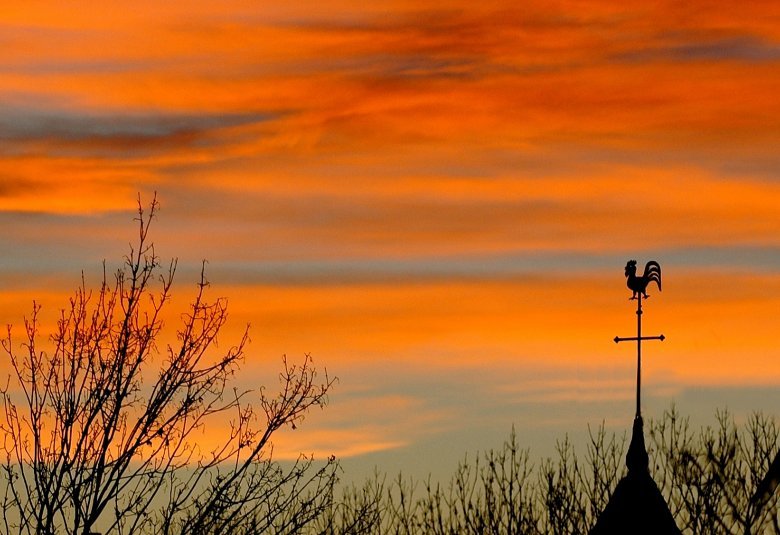 Abendsonnenbad für drahtiges Geflügel