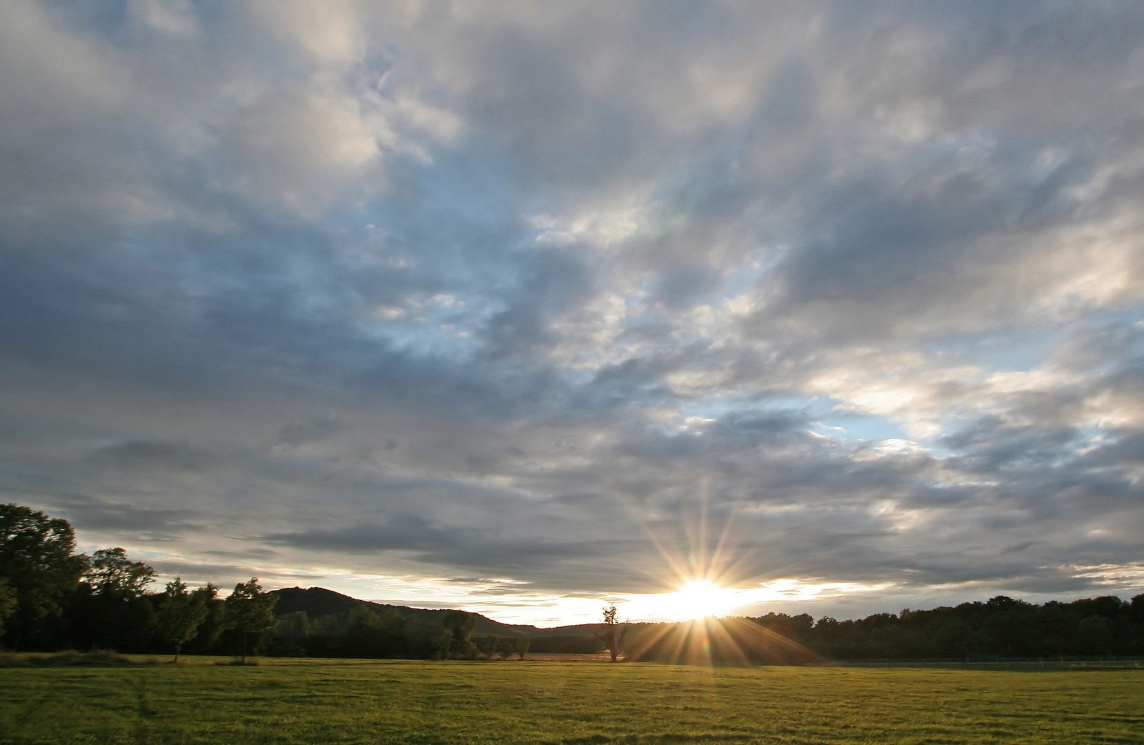 Abendsonnenstern