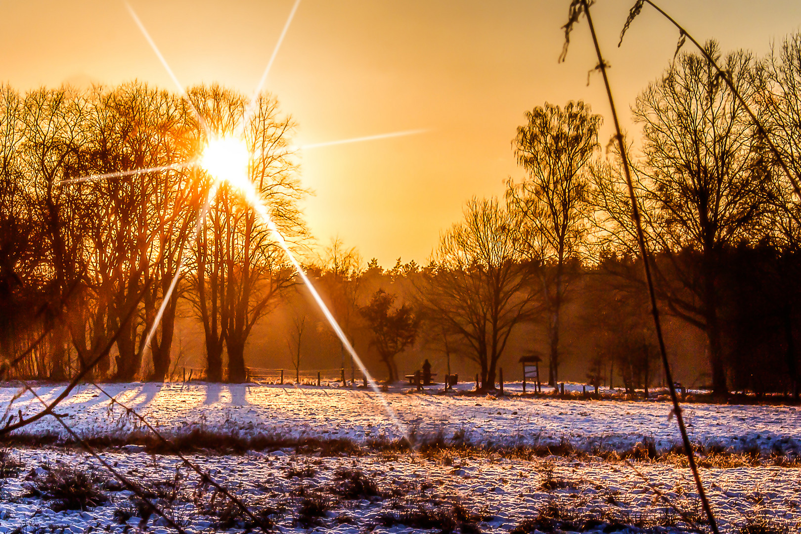 Abendsonnenstern