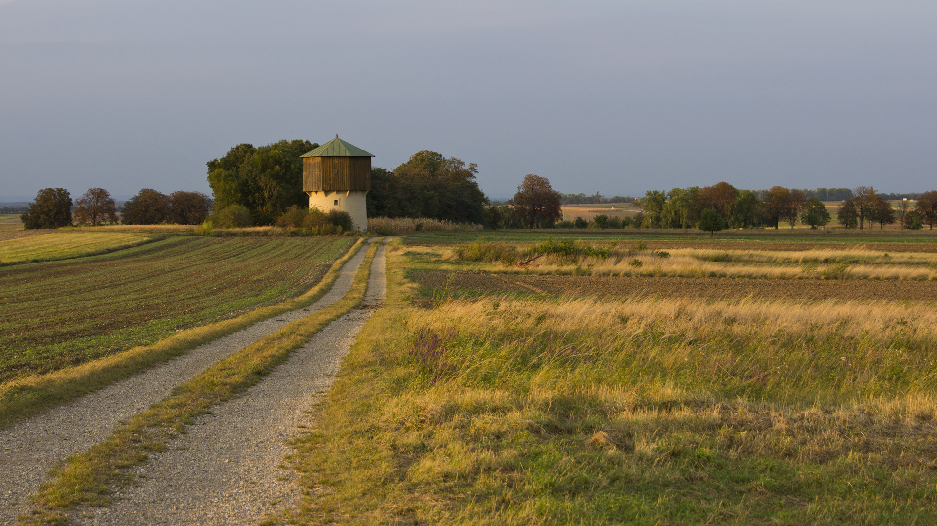 Abendsparziergang