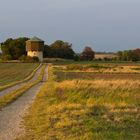 Abendsparziergang