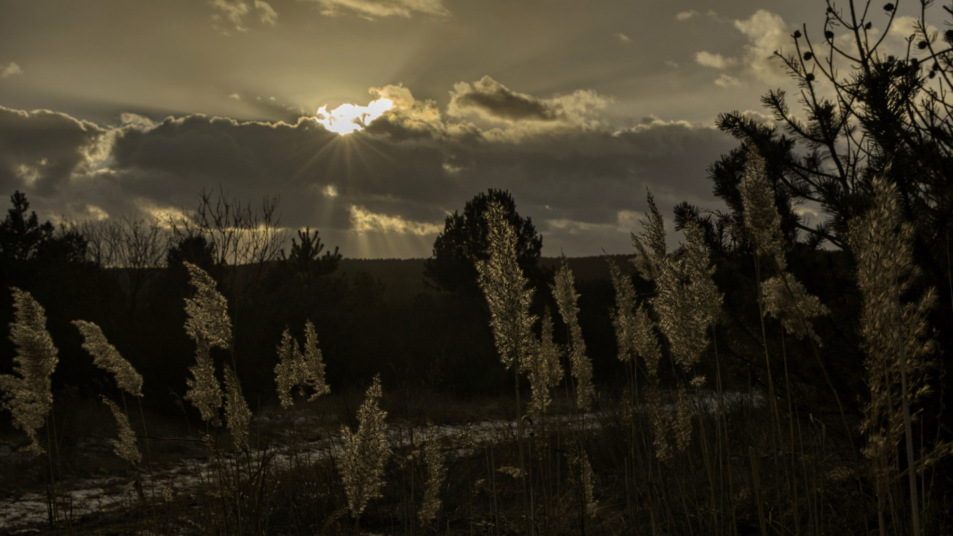 Abendspatziergang