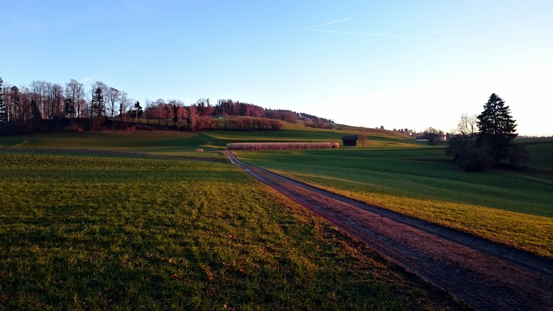 Abendspatziergang