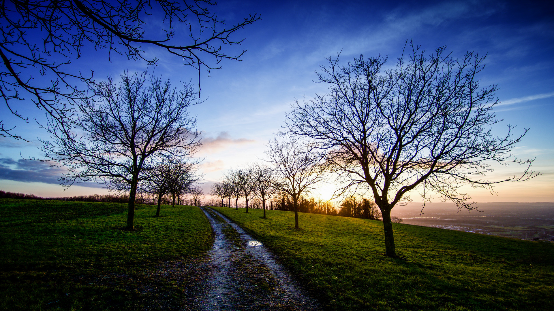 Abendspaziergang