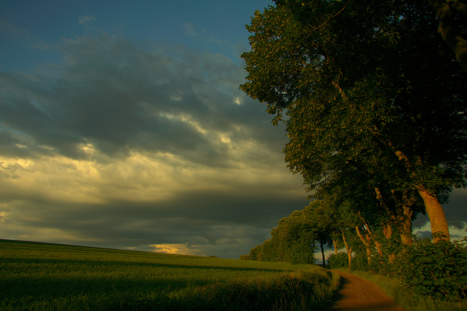 Abendspaziergang