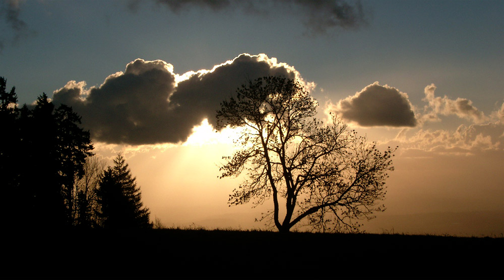 Abendspaziergang