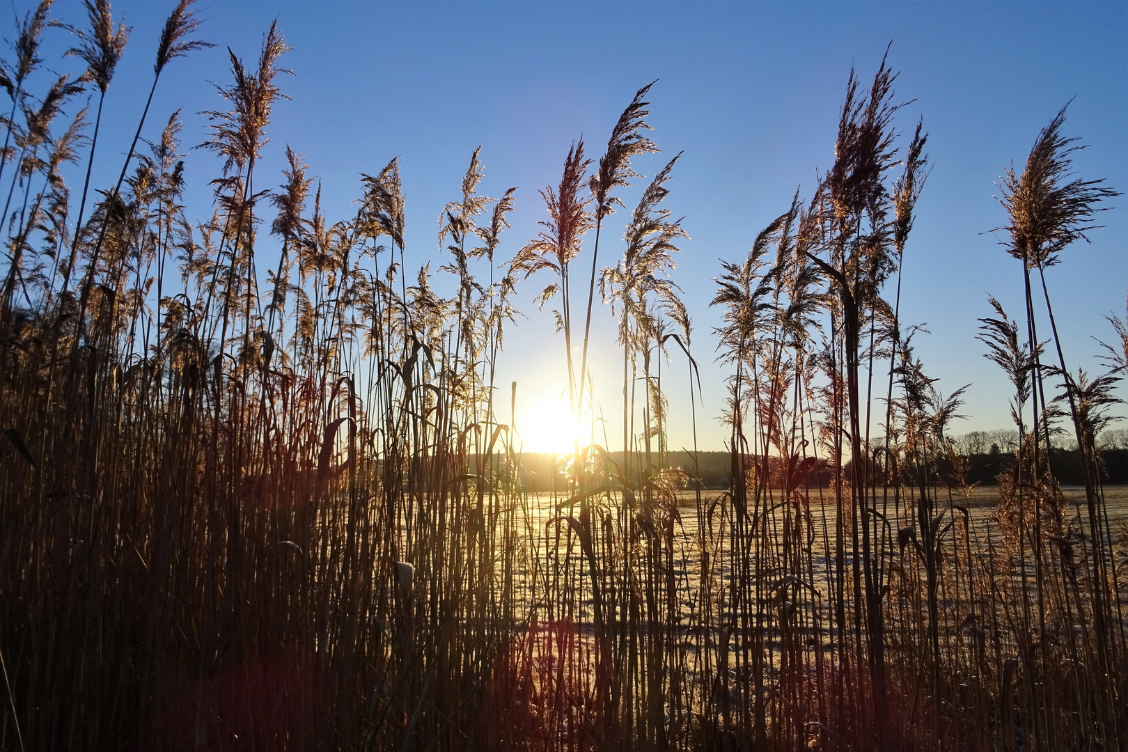 Abendspaziergang