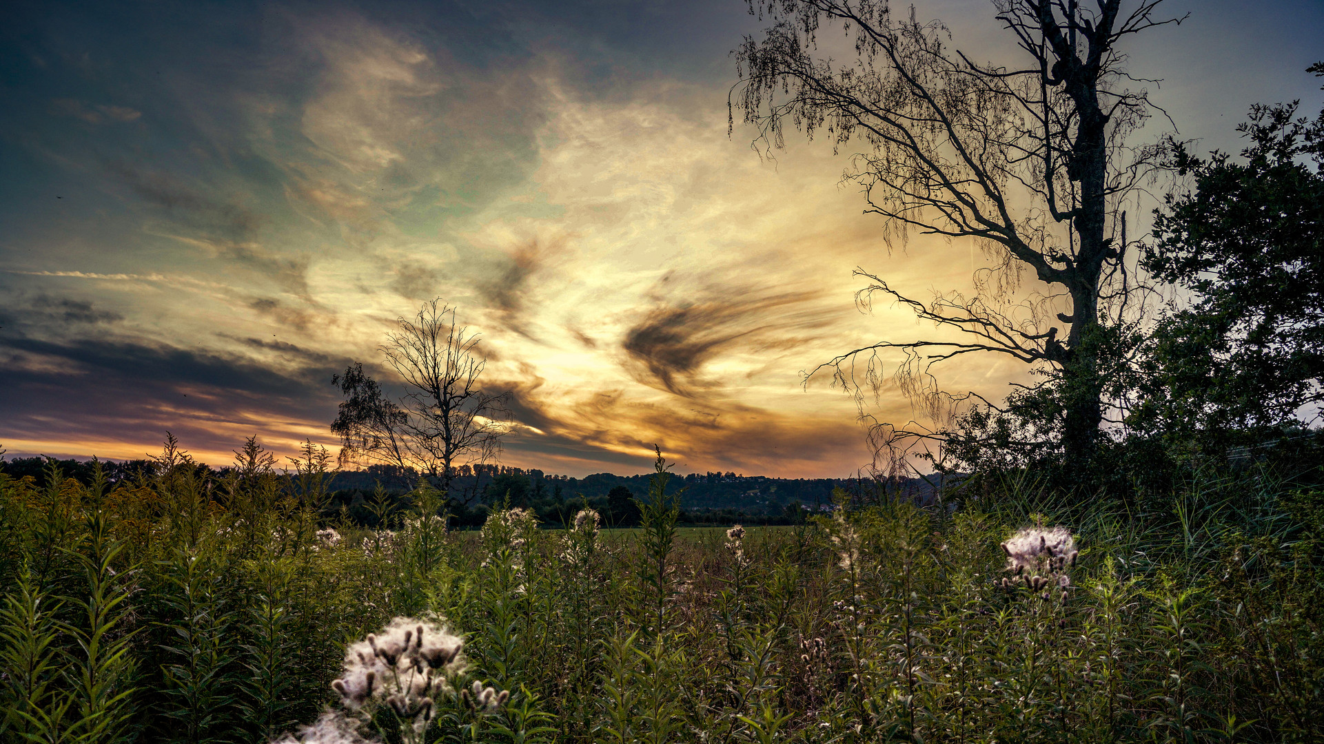 Abendspaziergang