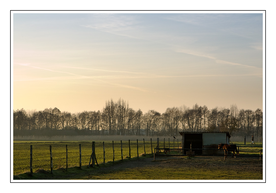 Abendspaziergang #1