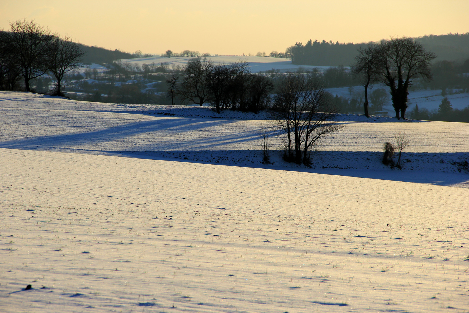 Abendspaziergang