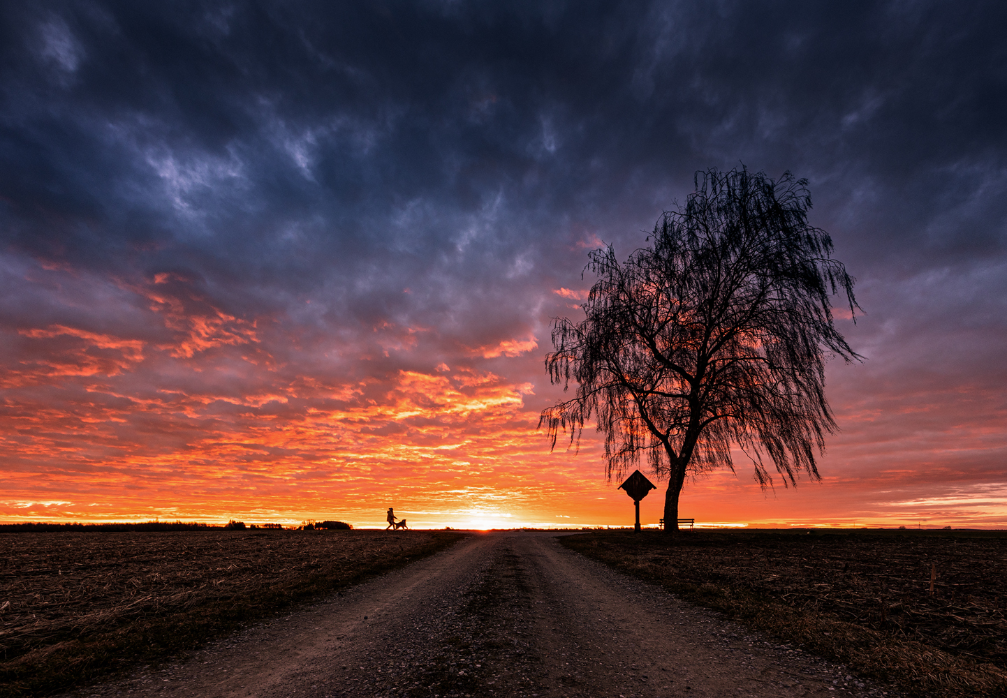 abendspaziergang