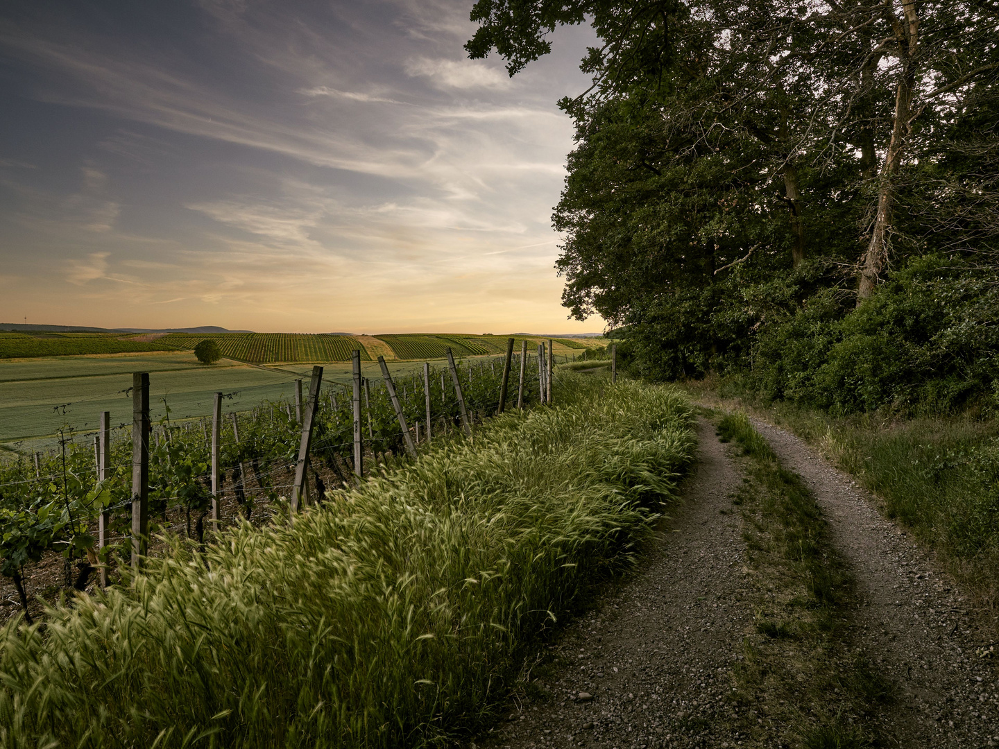 Abendspaziergang