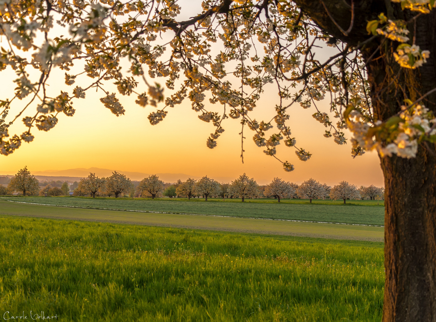 Abendspaziergang