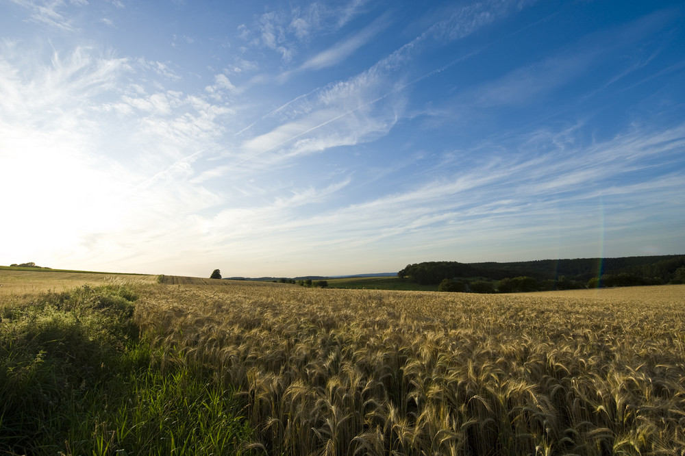 Abendspaziergang 2