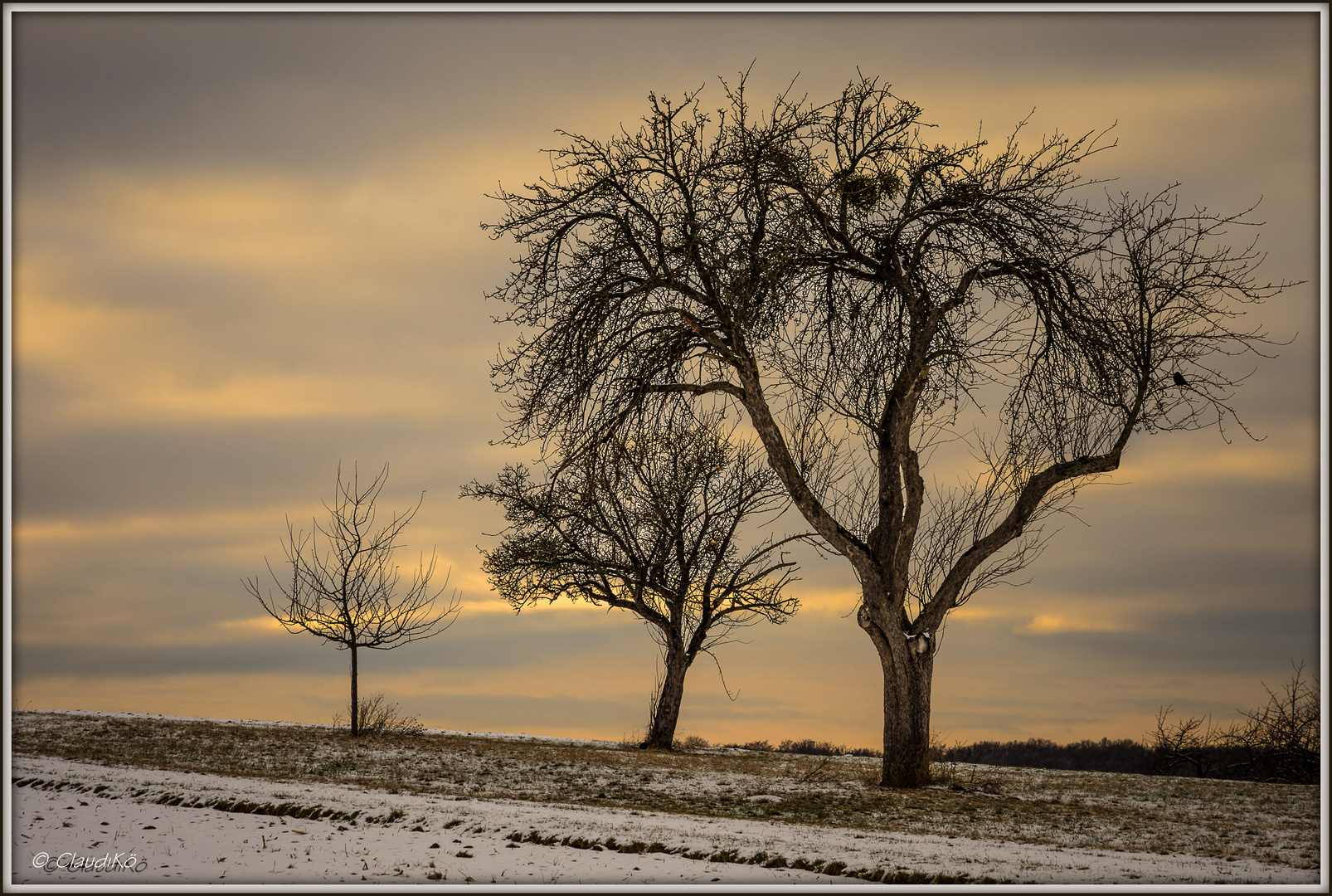 Abendspaziergang 2