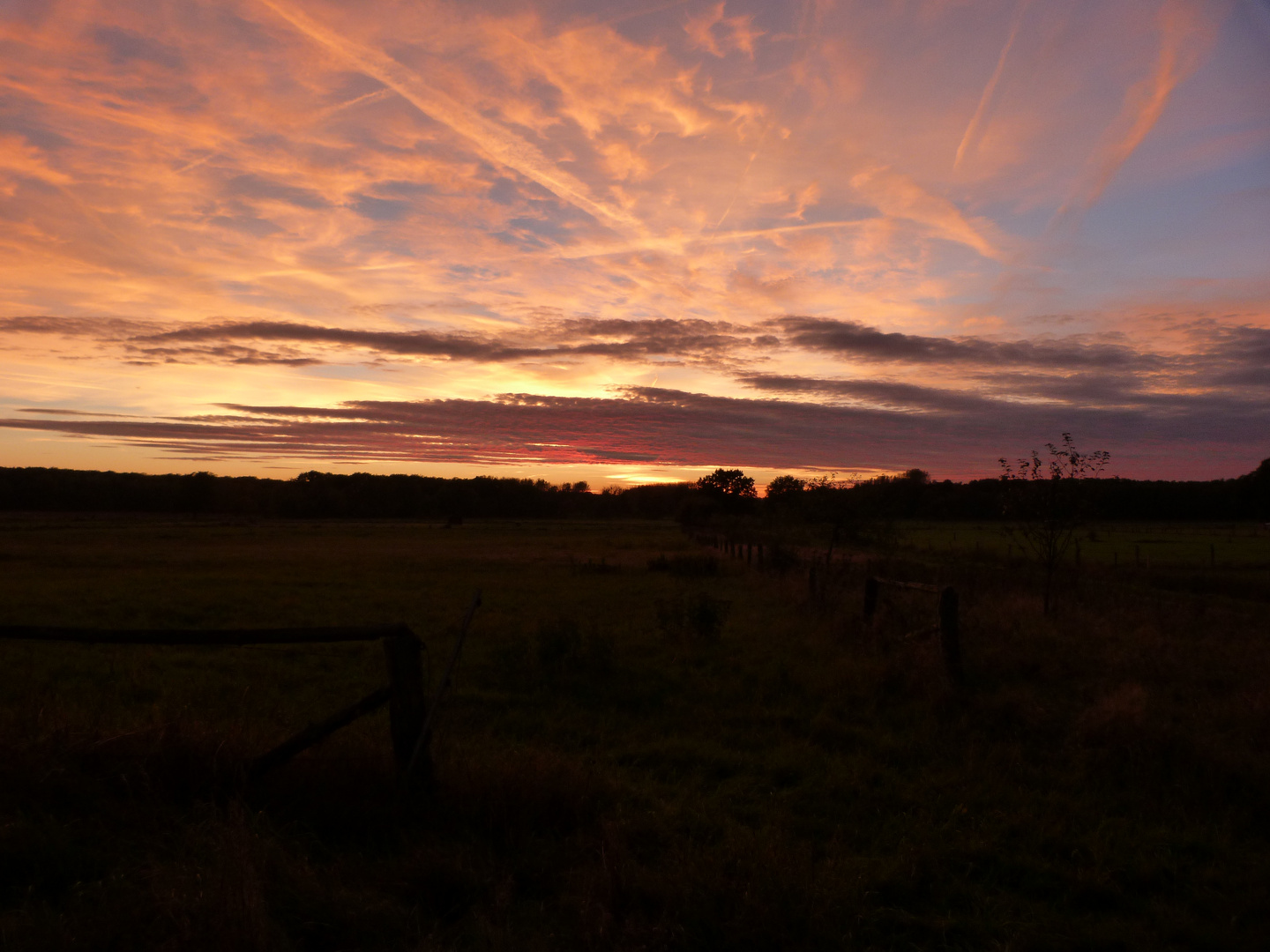 Abendspaziergang 2